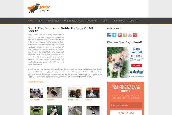 Site using WP Subscribe plugin