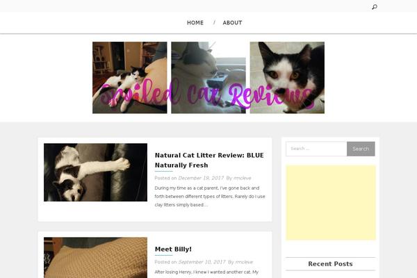 Rundown theme site design template sample