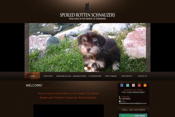 Site using WEBphysiology Portfolio plugin
