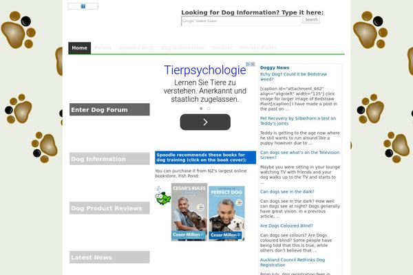 Branfordmagazine theme site design template sample