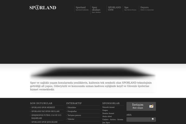 Display theme site design template sample