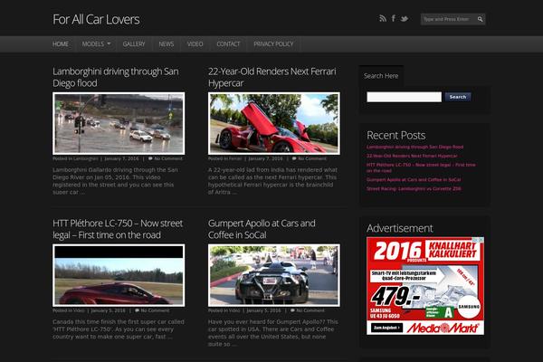 Point theme site design template sample