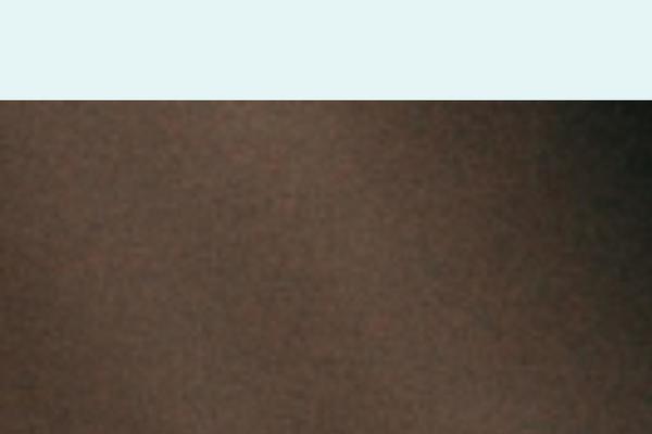 Site using Video Embed & Thumbnail Generator plugin