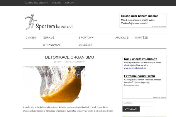 Fashionista theme site design template sample