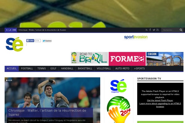 Se theme site design template sample