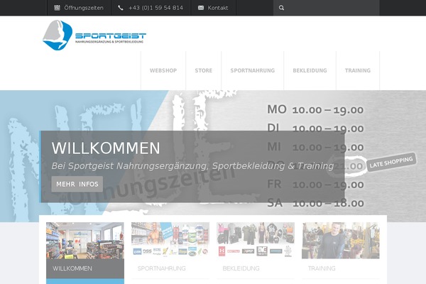 Fit Wp theme site design template sample