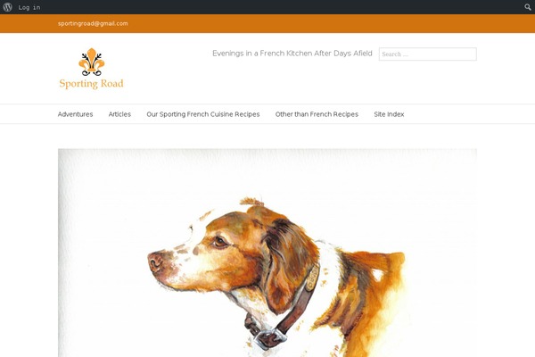 sportingroad.com site used Avada3