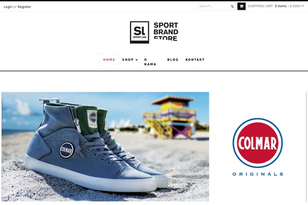 Fashion theme site design template sample