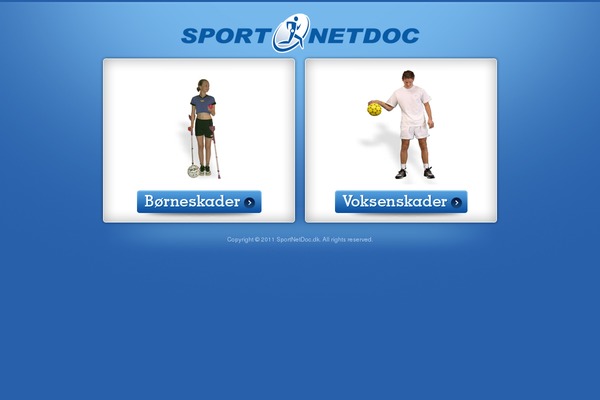 sportnetdoc.dk site used Twenty-thirteen-child