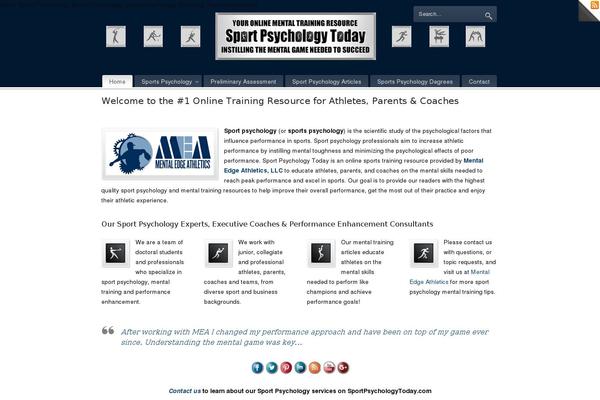 PureVISION theme site design template sample