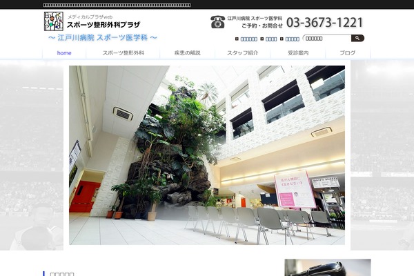 sports-seikeigeka.com site used Edogawa