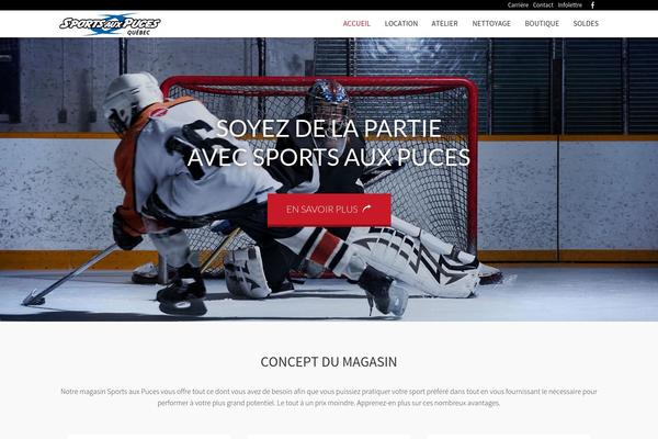 sportsauxpuces theme websites examples