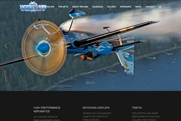 Elision theme site design template sample