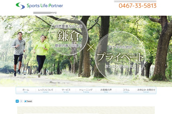 responsive_068 theme websites examples