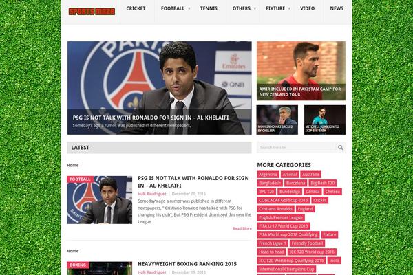 News Pro theme site design template sample