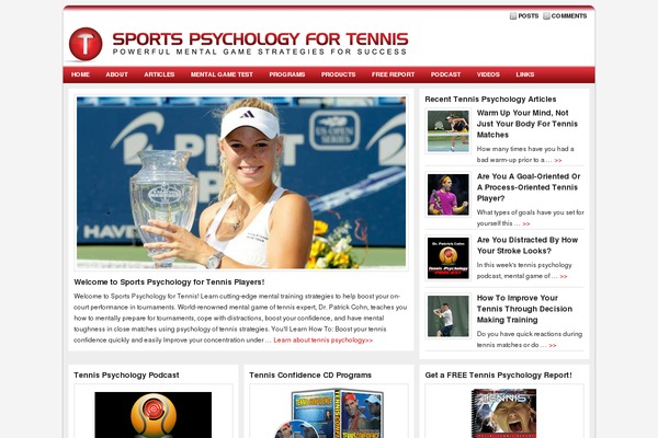 Sleek theme site design template sample