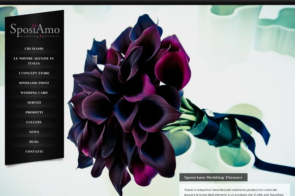 Site using Itro-popup-premium plugin