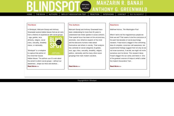 spottheblindspot.com site used Dynamik