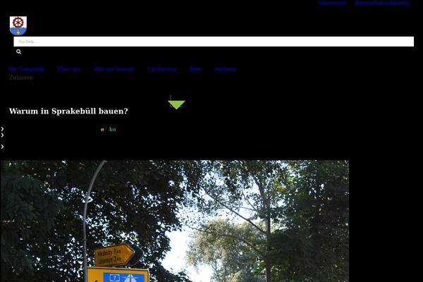 Site using Team-members-pro plugin