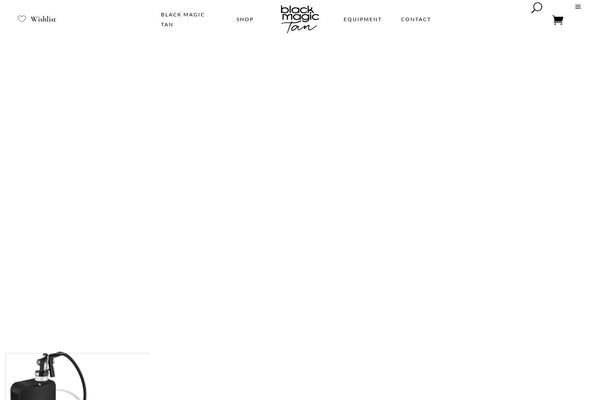 Biagiotti theme site design template sample