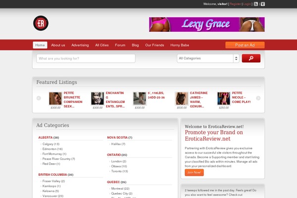 Dynamic News Lite theme site design template sample