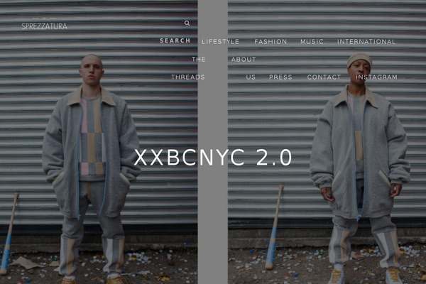 Ness theme site design template sample