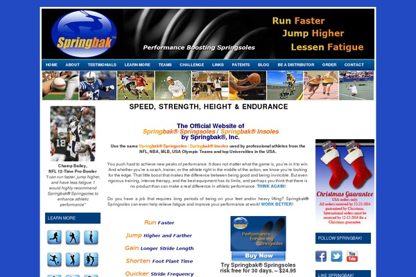 Flexx Blue theme site design template sample