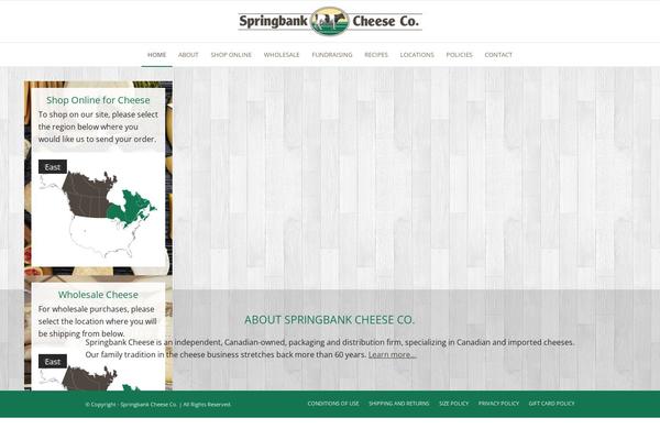 Enfold theme site design template sample