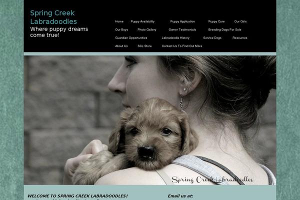 Site using Custom-facebook-feed-pro plugin