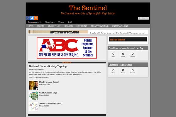 Sno Flex theme site design template sample