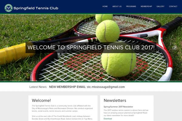 Ascend_premium theme site design template sample