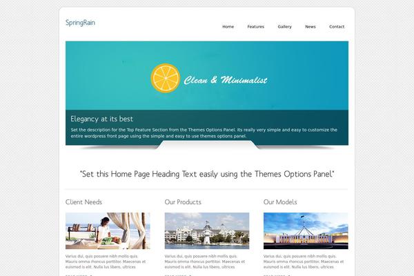 Dzonia Lite theme site design template sample