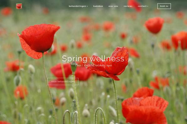 Site using Cyclone Slider 2 plugin
