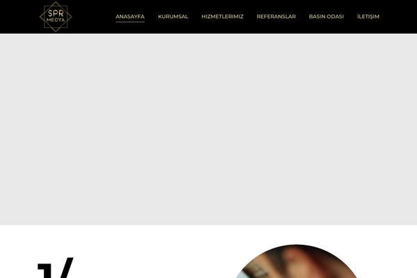 Site using myStickyElements plugin