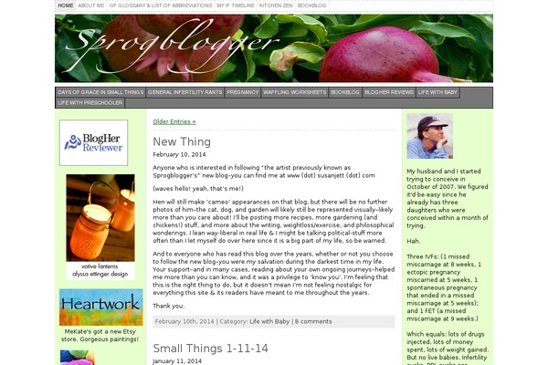 Site using WP Social Blogroll plugin