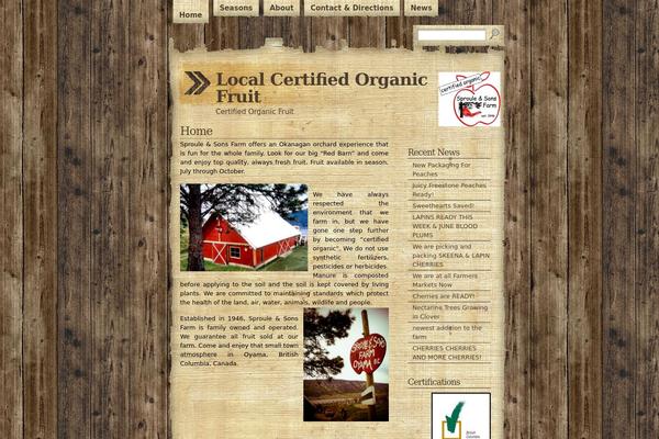 papyrus-10 theme websites examples