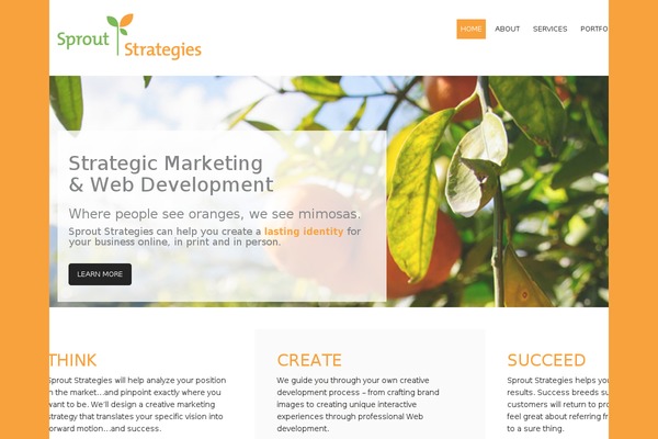 NEWERA theme site design template sample