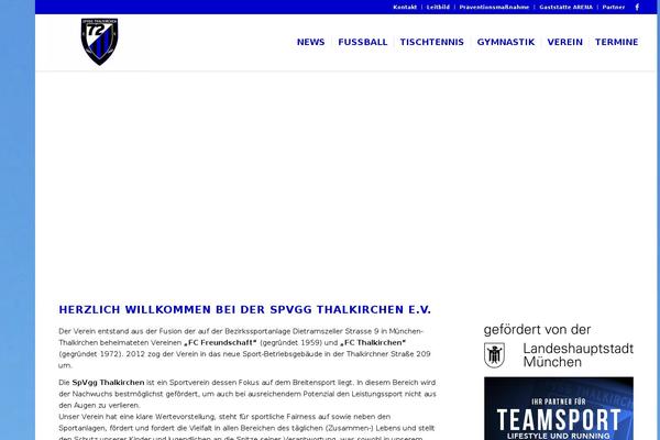 Enfold-child theme site design template sample