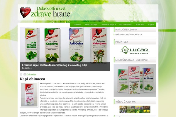 Healthstyle theme site design template sample