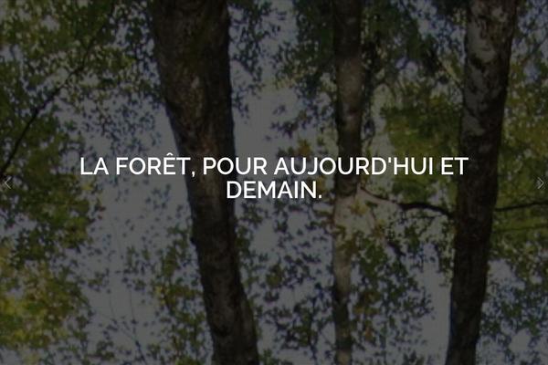 North theme site design template sample