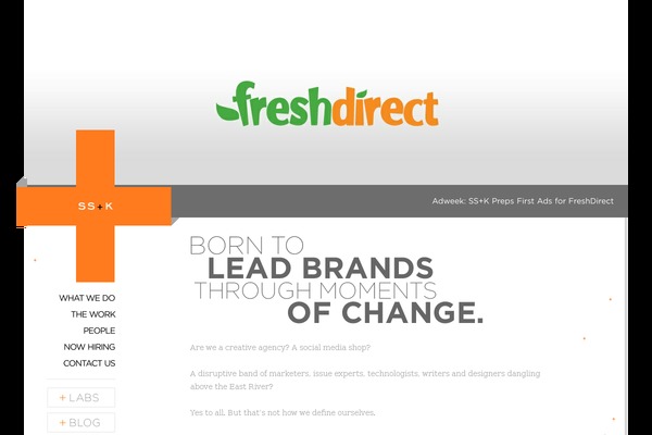 ssk WordPress theme, websites list used ssk theme ssk theme websites examples