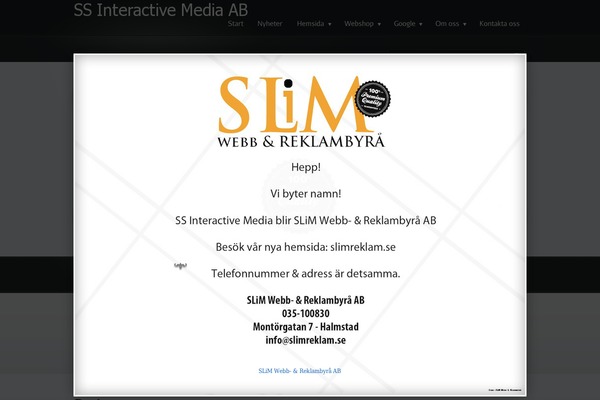StoreBiz theme site design template sample