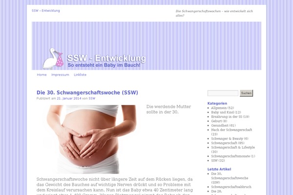 The Thinker Lite theme site design template sample