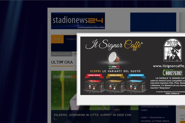 Schema theme site design template sample
