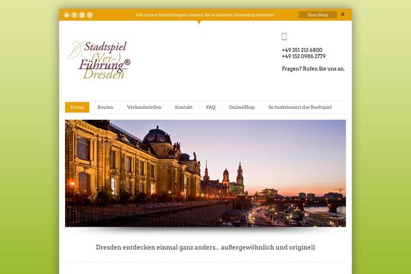 Site using Newsletter2go plugin