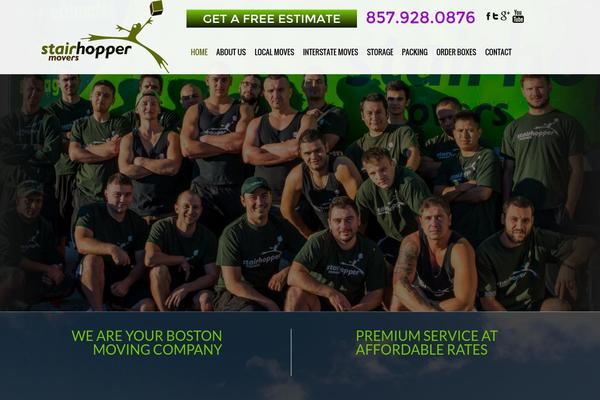 lytron theme websites examples