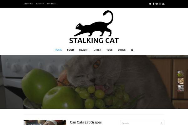 Site using Joomdev-wp-pros-cons plugin