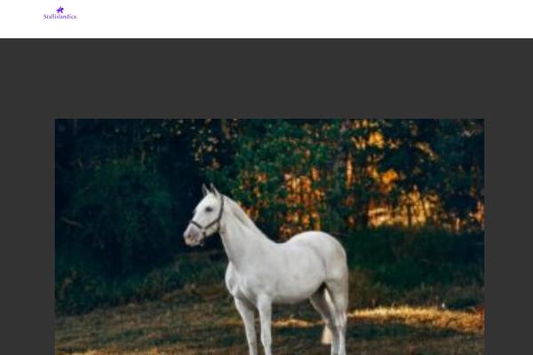 Dark-top-travel theme site design template sample