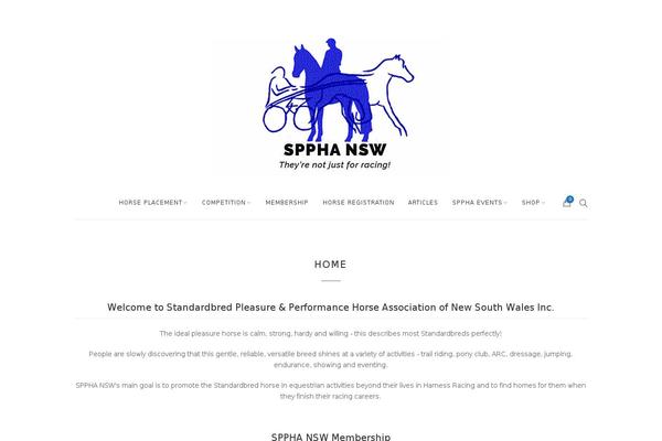 Site using WP Canvas - Responsive Videos plugin