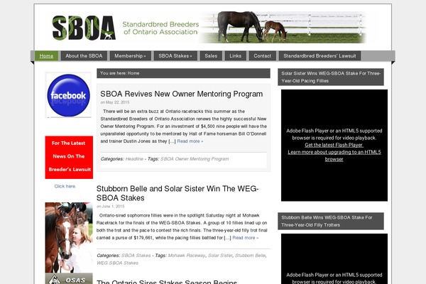 Site using Sogo-accessibility plugin